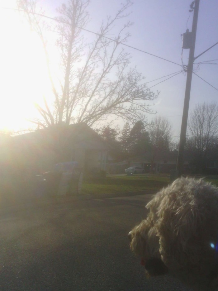 sun coming up on doodle