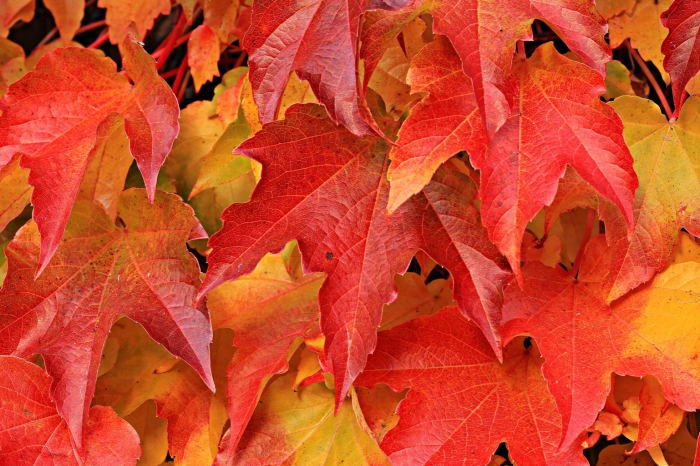 Sell your home in autumn